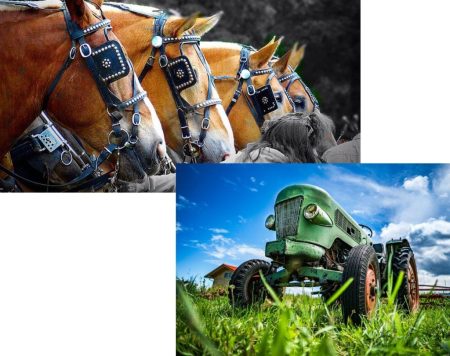 Port Perry Fair 2025